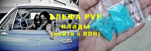 шишки Верея