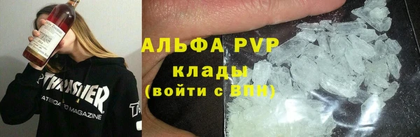 шишки Верея