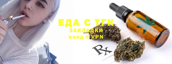 шишки Верея