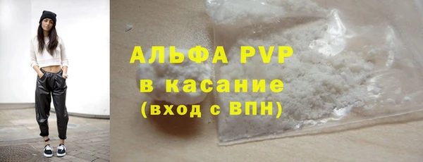шишки Верея
