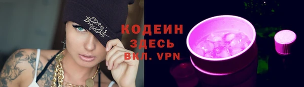 шишки Верея