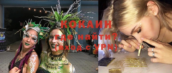 СК Сосновый Бор