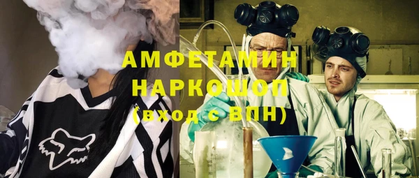 шишки Верея