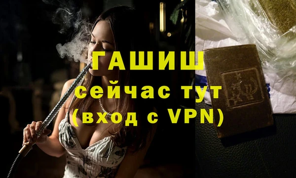 шишки Верея