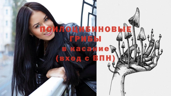 СК Сосновый Бор