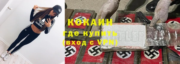 шишки Верея