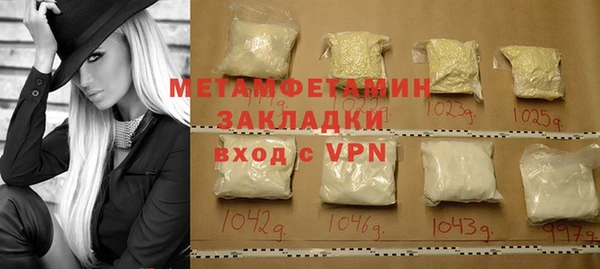 шишки Верея