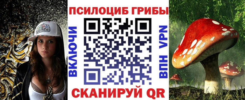 mega tor  Семёнов  Галлюциногенные грибы Magic Shrooms 
